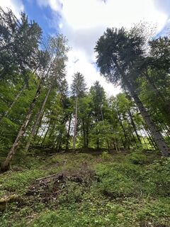 Fotografie z David Ludwig 2 na trase