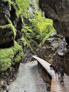 Foto von Veronika Schulte entlang der Tour