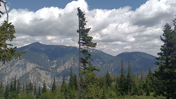 Fotografia z Bergpirat na trase