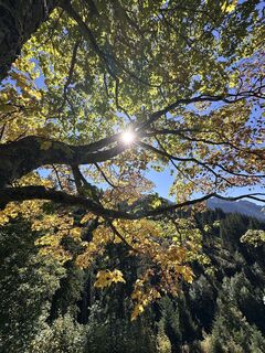 Fotografia z Joana Trösch na trase
