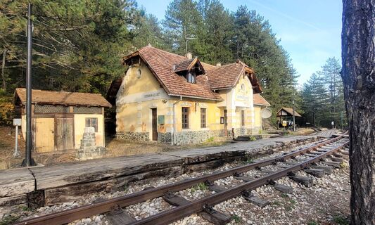 Fotografia z karyn na trase