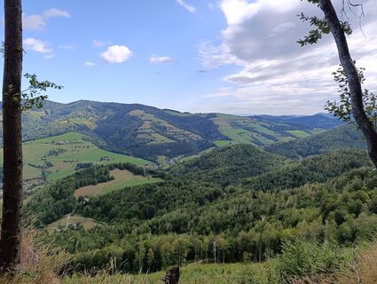 Foto von Meli entlang der Tour