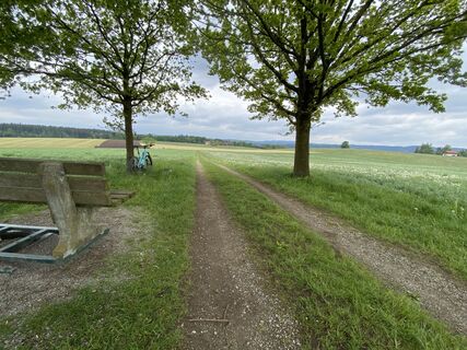 Fotografija s spletne strani Sven Krieblin na poti