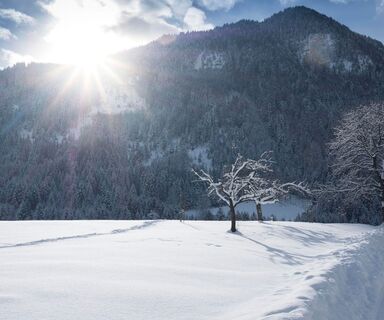 Winterwandern Reith