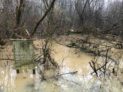 Hochwasser