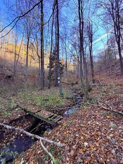 Fotografia z TallWanderBilly na trase