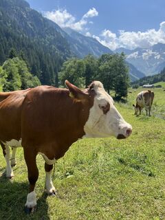 Foto von Ben Möhlmann entlang der Tour