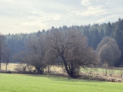 Fotografija s spletne strani Norbert Herbig na poti