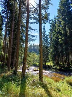 Foto fra Tom Theuer undervejs på turen