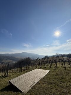 Fotografie z RS76 na trase