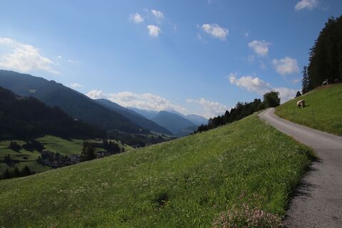 Fotografia z Günter Kleutsch na trase
