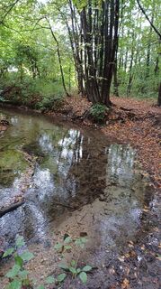 Foto von tina entlang der Tour