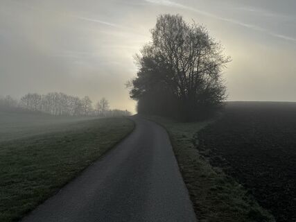 Foto von Schaali entlang der Tour