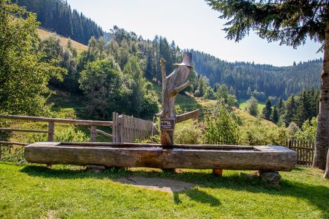 Brunnen Herrbaueralm