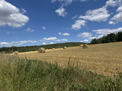Foto von Markus Scheibinger entlang der Tour
