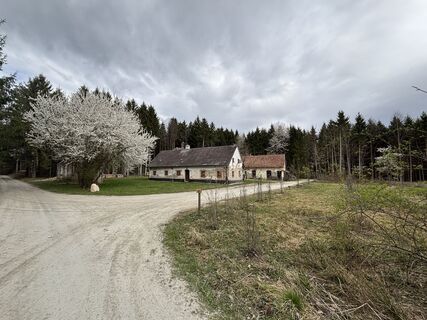 Photo de Georg Tertsch le long du parcours
