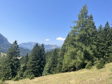 Foto von Markus Weingartner entlang der Tour