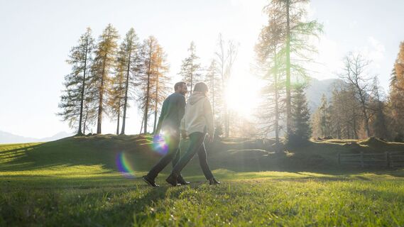 Herbstwanderung am Oberen Wiesenweg_Paar läuft entlang von Wiese_Aufnahme gegen die Sonne mit Lärchen im Hintergrund.jpg