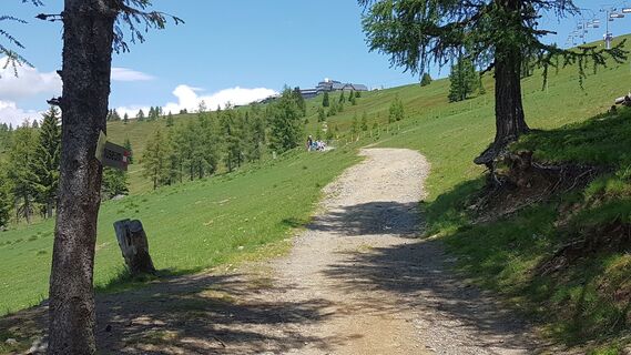 Gatter mit Pacheiner Hütte