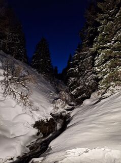 Foto från Dagmar Hofer under resans gång