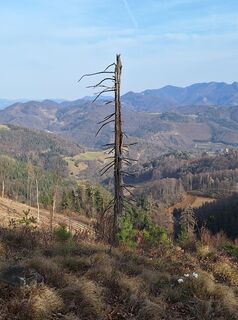 Foto von erwinso entlang der Tour