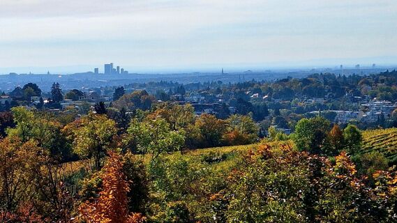Fotografie z Regina Fleischmann na trase