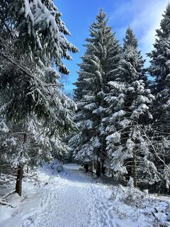 Fotografie z Felicitas Wellhäußer na trase