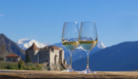 Südtirol, Vinschgau, Kastelbell, Schloss, Weisswein, oberes Vinschgau,