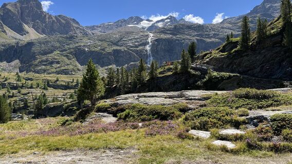 Foto von Pezzotta entlang der Tour