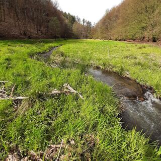 Rosbachtal