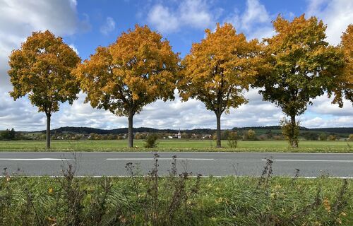 Photo from Günther Herbig along the tour