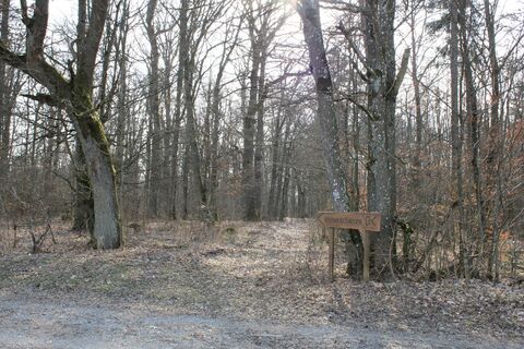 Zugang zur Keltenschanze