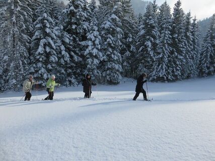 Schneeschuhwandern Brandenberg