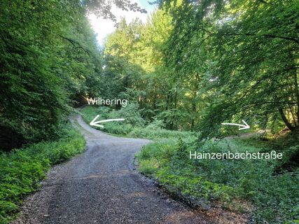 Zdjęcie z Nici wzdłuż trasy