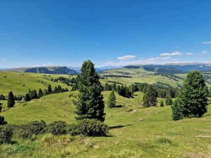 Photo de KatarinaRajcany le long du parcours