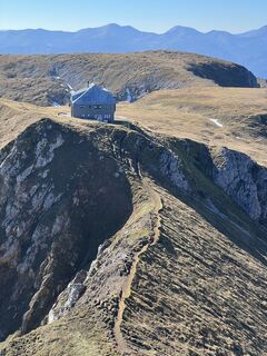 Photo de Flink le long du parcours