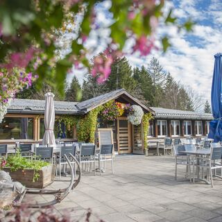 Bergrestaurant Wolzenalp