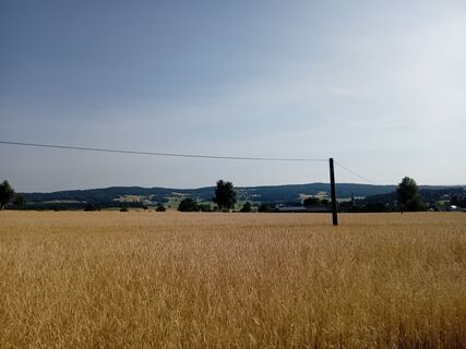 Photo from Franz Streimelweger along the tour