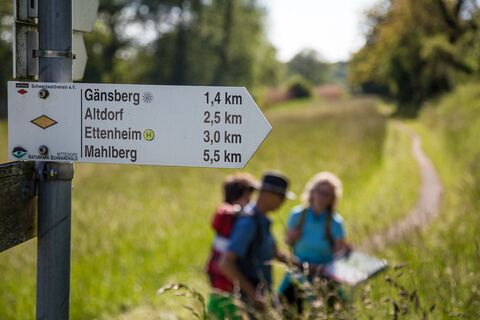 Wegweiser