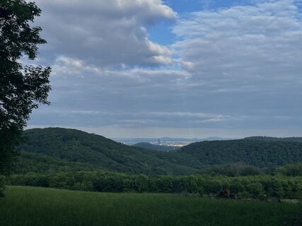 Fotografia z Georg B. Meier na trase