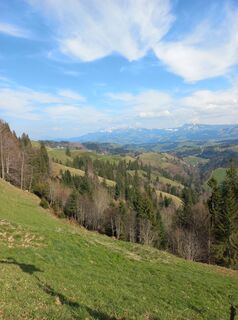 Fotografia z mosi mönä na trase