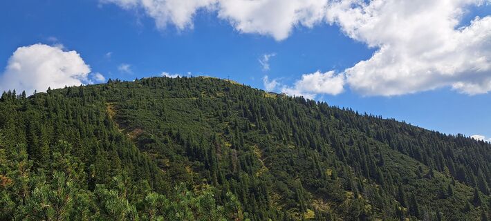 Foto von O Neu entlang der Tour