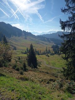 Photo de Bettina Miller 1 le long du parcours