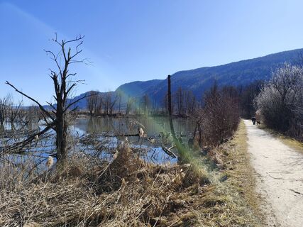 Fotografie de la Albin1958 de-a lungul turului