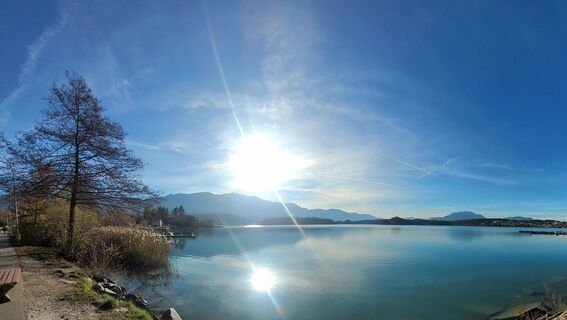Foto de Claudia Kanalz a lo largo del recorrido
