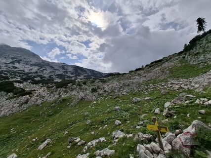 Photo de Mike the hike le long du parcours