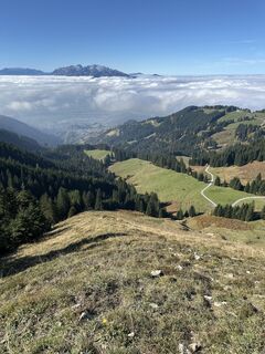 Photo de raga le long du parcours