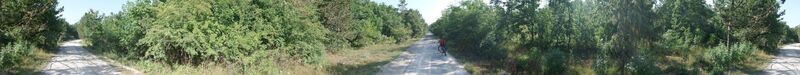 Feldweg zwischen *Faludi-ut* und *Büdöskuti-ut*