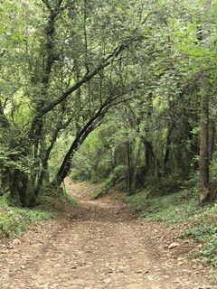 Fotografija s spletne strani CPQS na poti