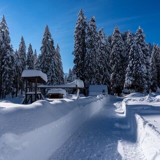 Sommergrillstelle Laui